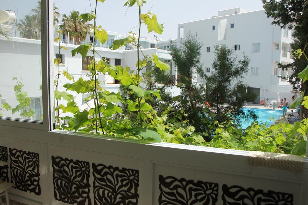 Molos Apartment Paphos