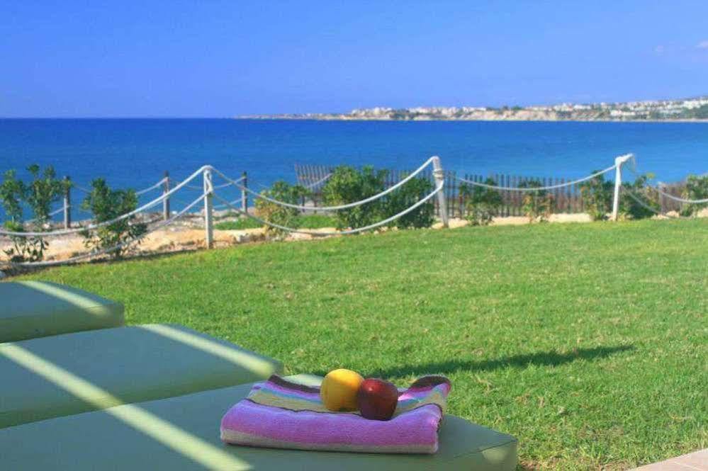 Blue Coral Paphos