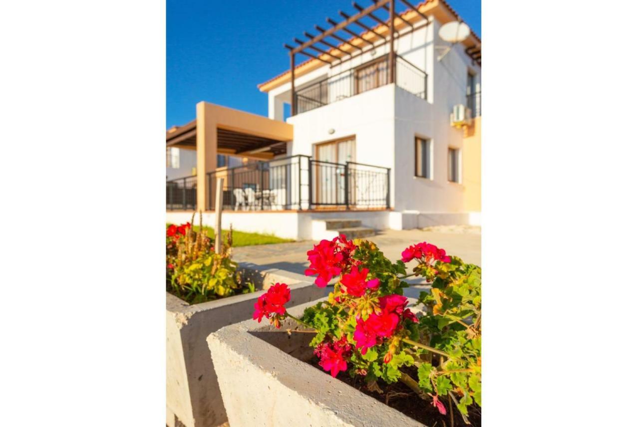 Angelina Villa