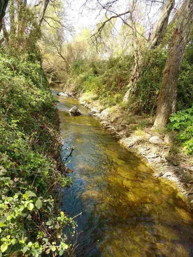 Theano Skarfos River Park *