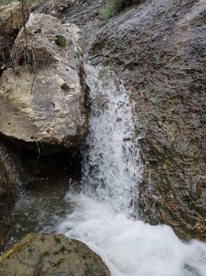 Theano Skarfos River Park Paphos