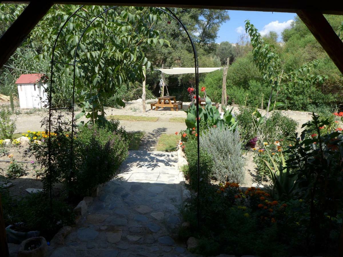 Theano Skarfos River Park Luxury tent Paphos