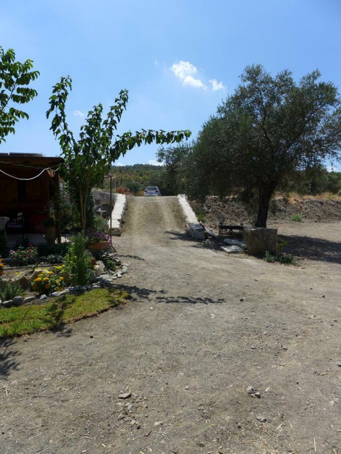 Theano Skarfos River Park Luxury tent