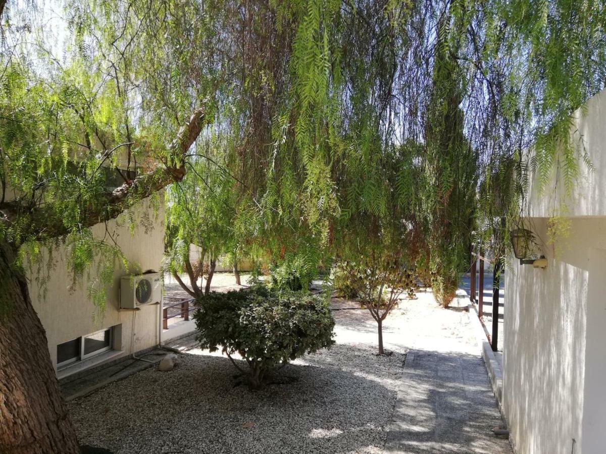 Villa Golden Sun Paphos