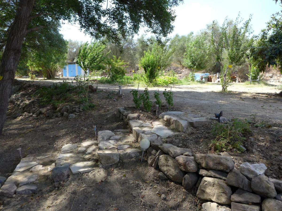 Theano Skarfos River Park Luxury tent