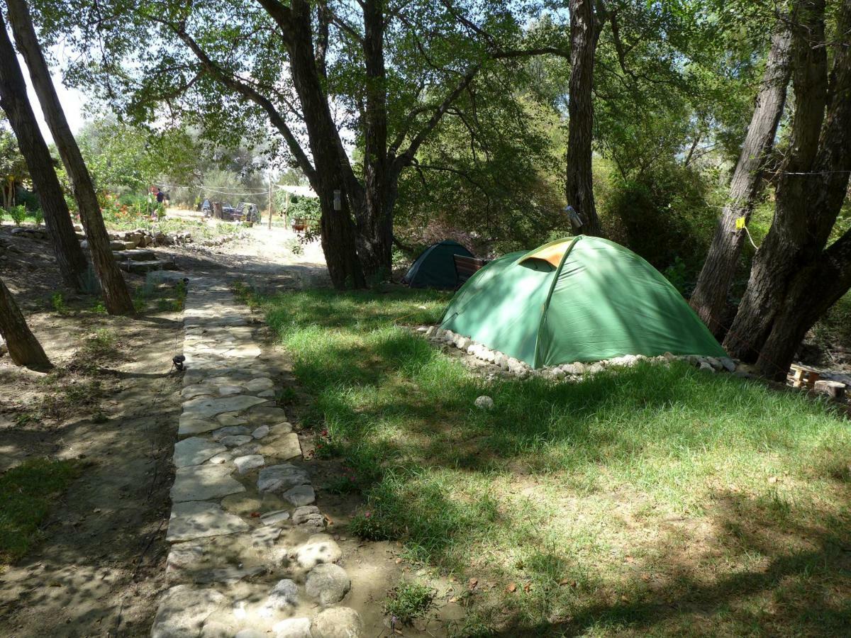 Luxury tent Theano Skarfos River Park