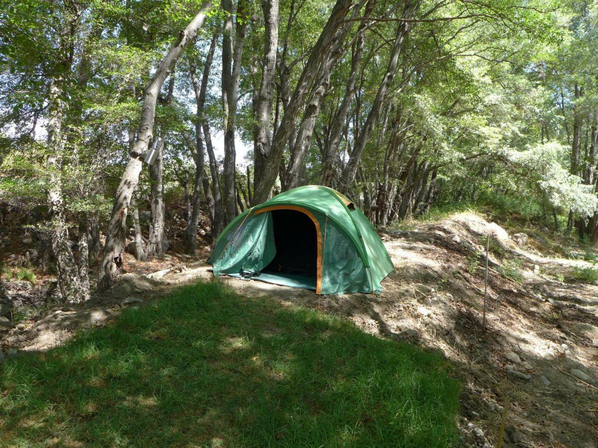 Theano Skarfos River Park Luxury tent *