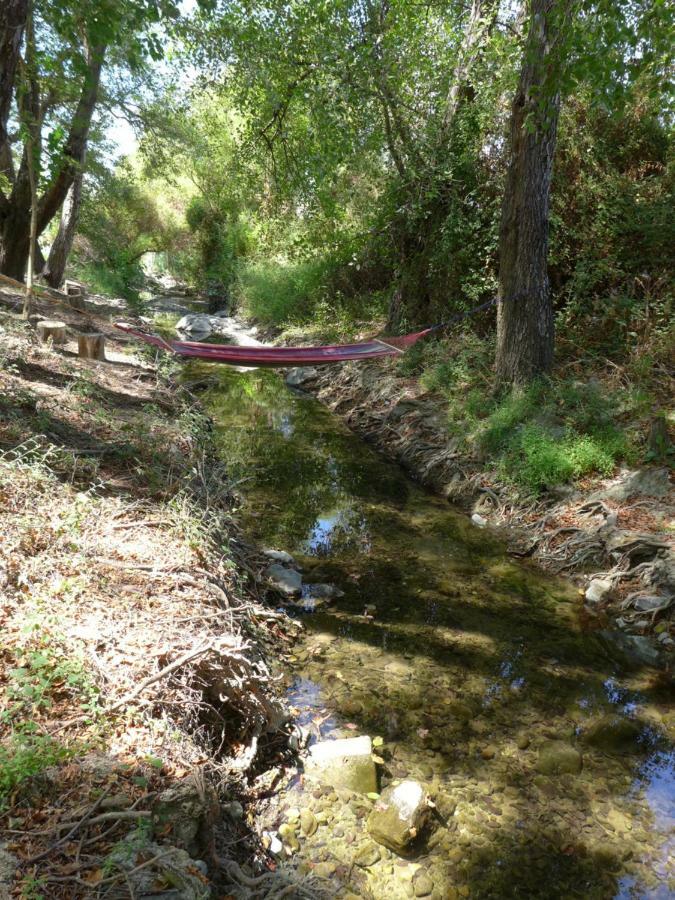 Luxury tent Theano Skarfos River Park *
