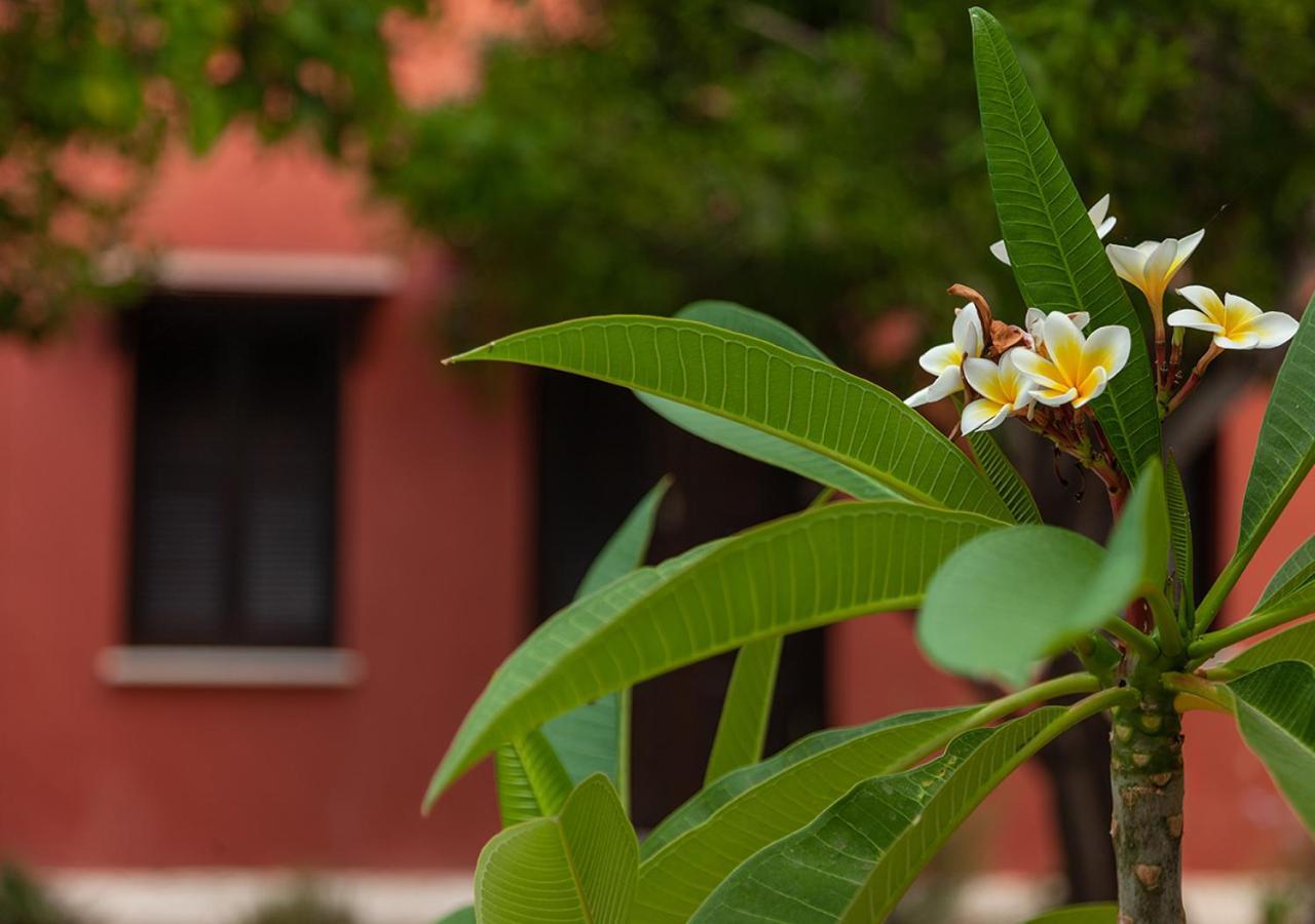 Guest house Casa Mespilea 2*