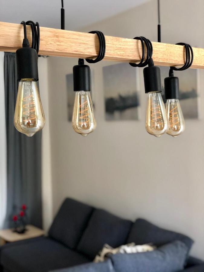 Apartment Luxury Industrial House 8