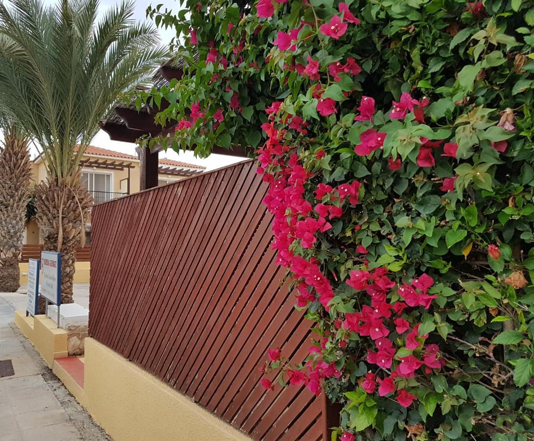 Charming 2 Bed. Ap. With Swimming Pool Paphos