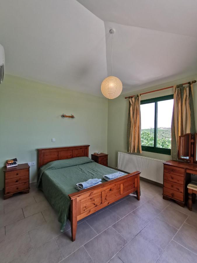 Vaggelis Paphos