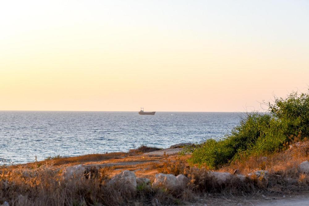 Beautiful Near The Sea And A Large Private Garden Apartment *