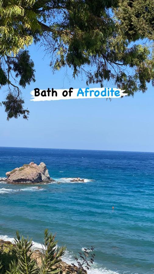 Beautiful Near The Sea And A Large Private Garden Apartment