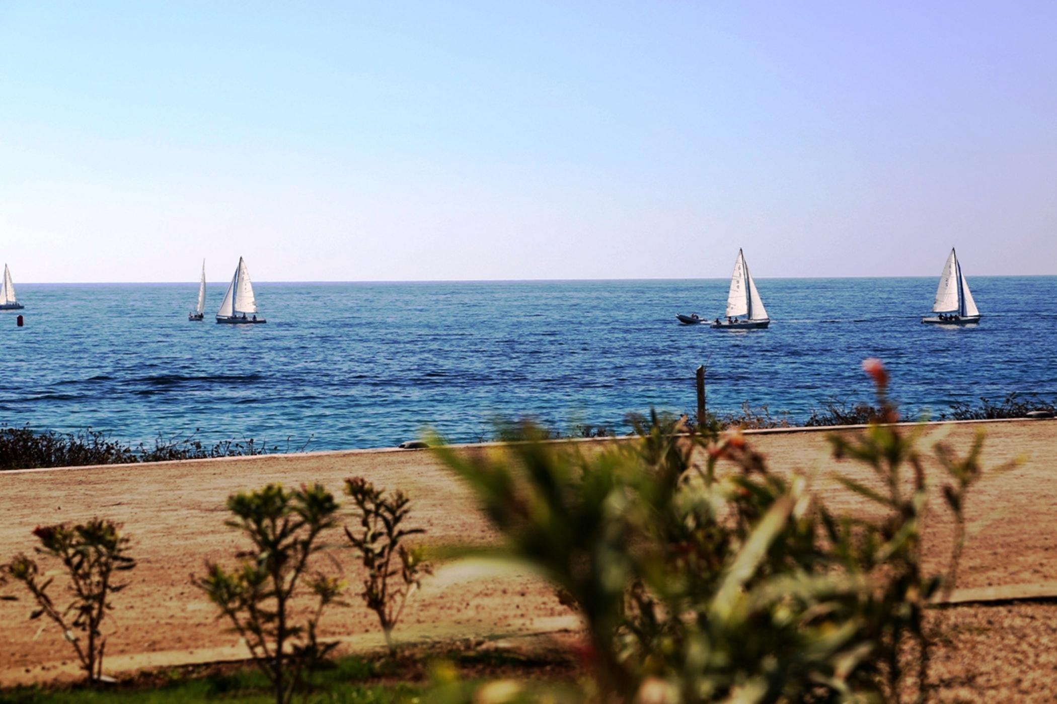 Hotel Amphora & Paphos
