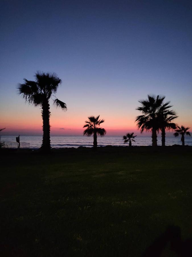 Apartment Pafia Sunbeach Modern Paphos