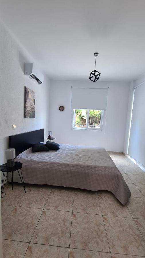 Laertis - By Imh Travel & Tours Paphos