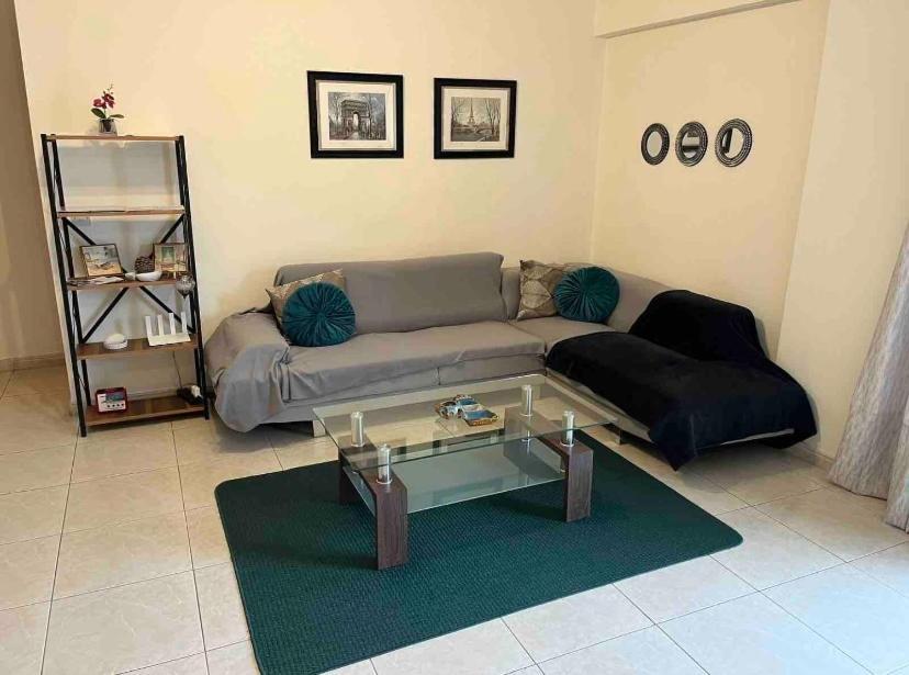 Bright One Bedroom In Area Apartment