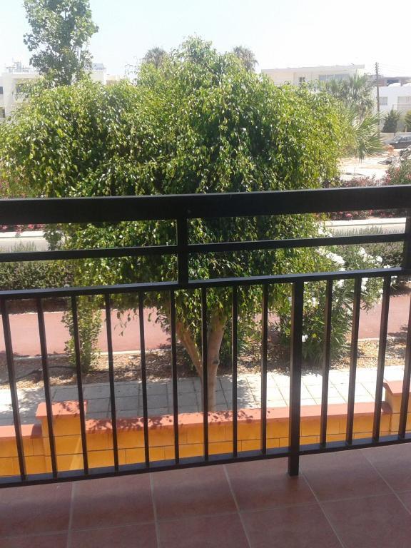 Lefki Tree Tourist * Paphos