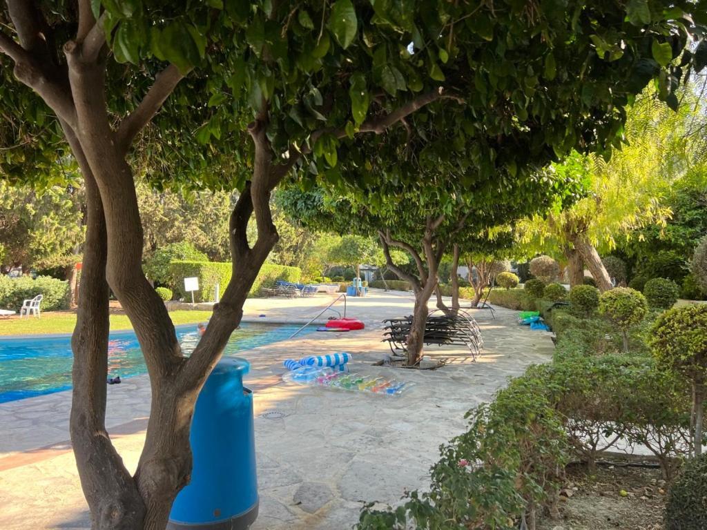 Cozy In Beautiful Complex