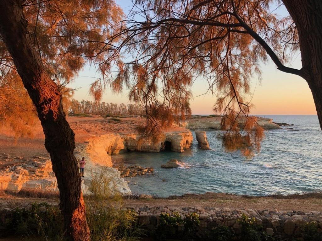 Cozy In Beautiful Complex Paphos