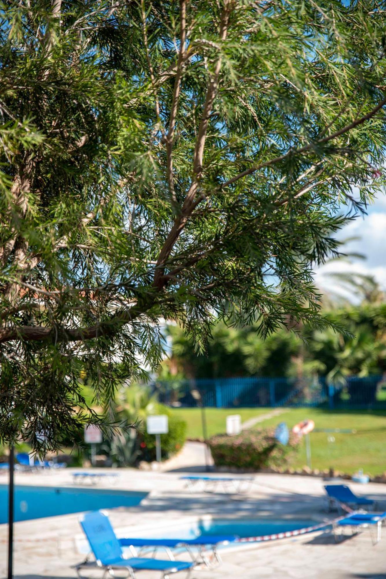 Paradise Gardens Pool View