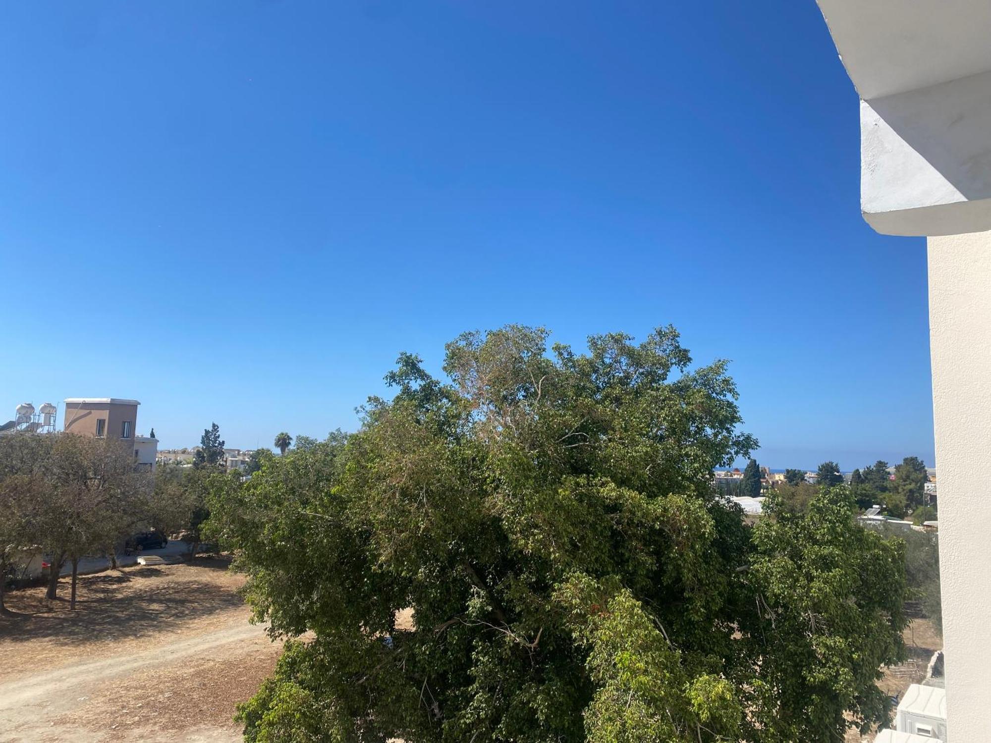 Mediterranean 2