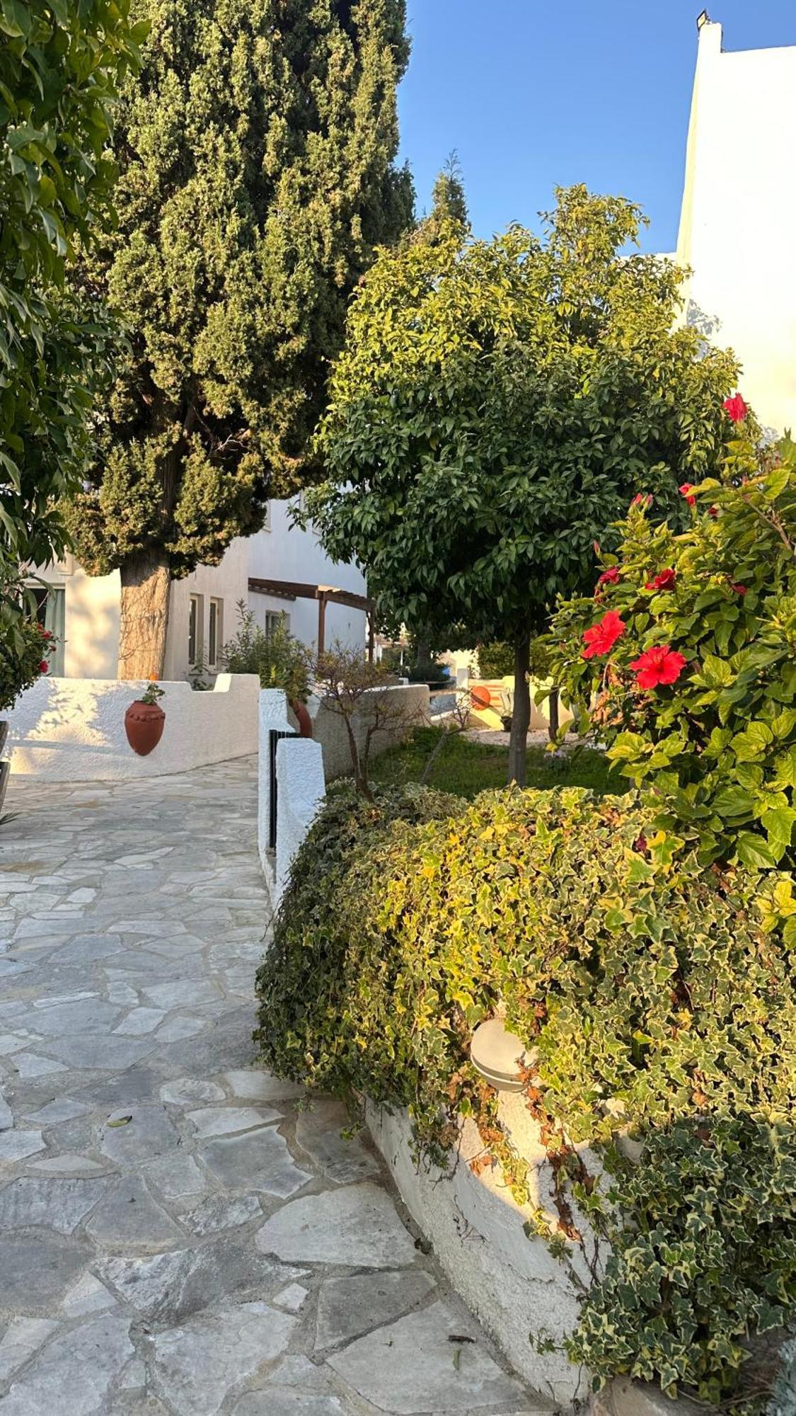 Gardens * Paphos