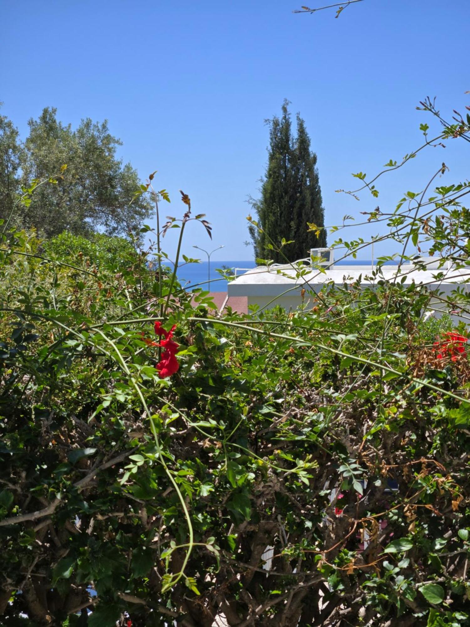 Casa de férias Urban Oasis Next To The