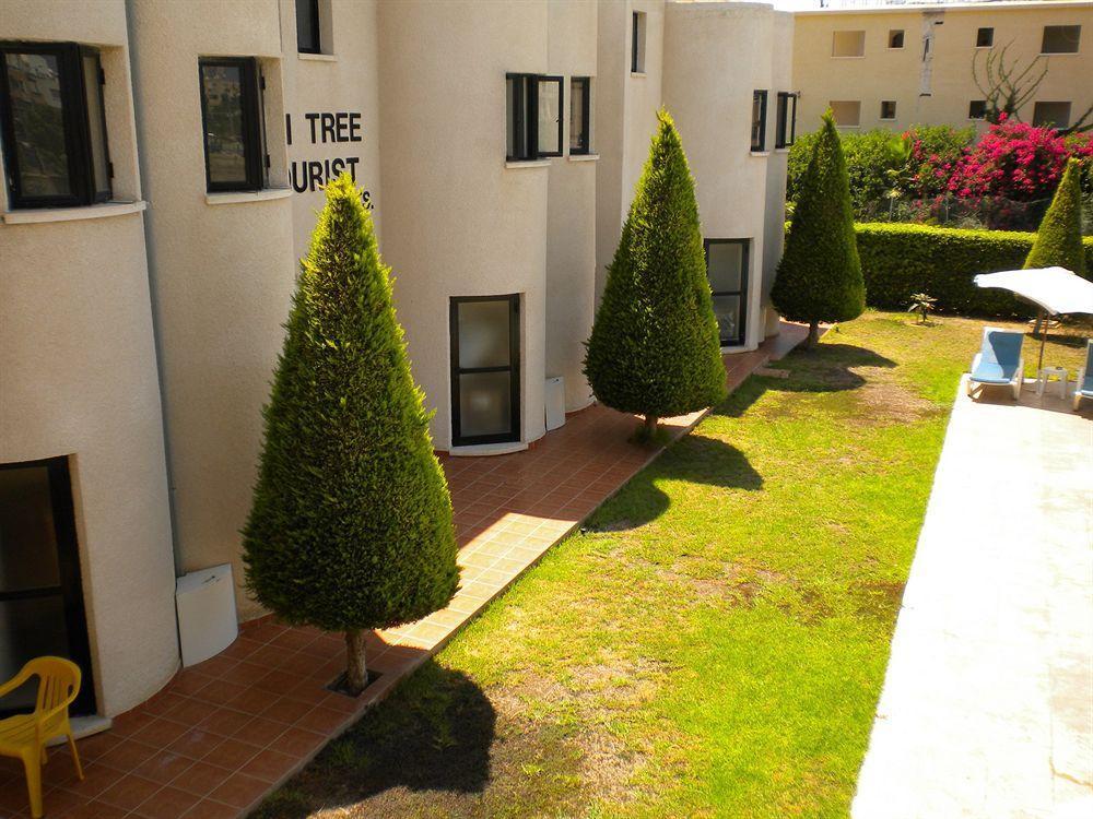 Lefki Tree Tourist Apartment *