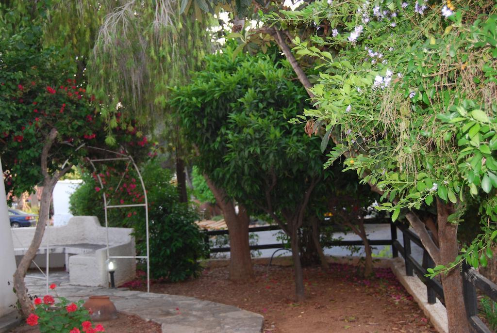 Margarita 110 Apartment *