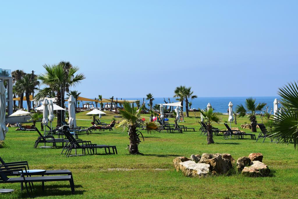 Amphora & 4* Paphos