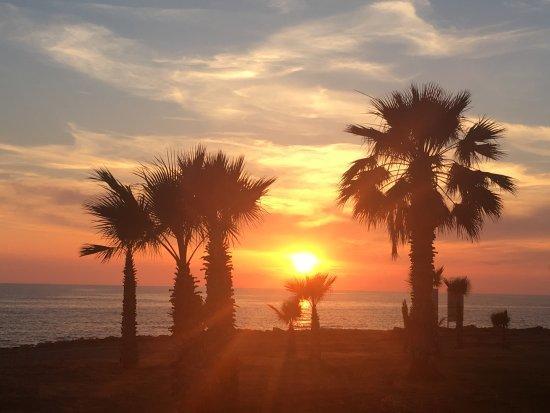 Kato * Paphos
