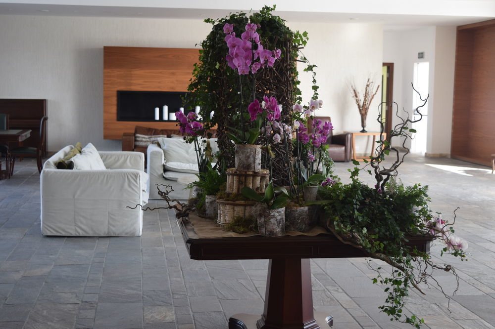 Amphora & Paphos