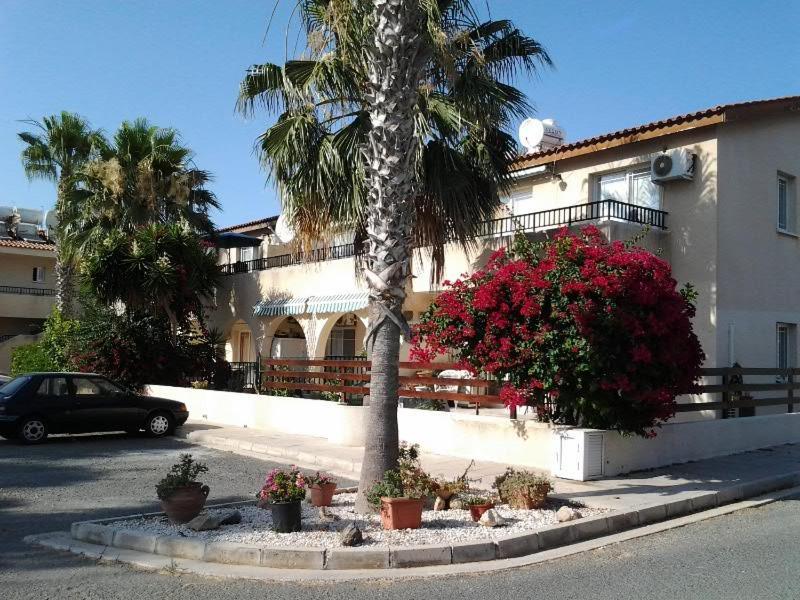 Cy King Village *