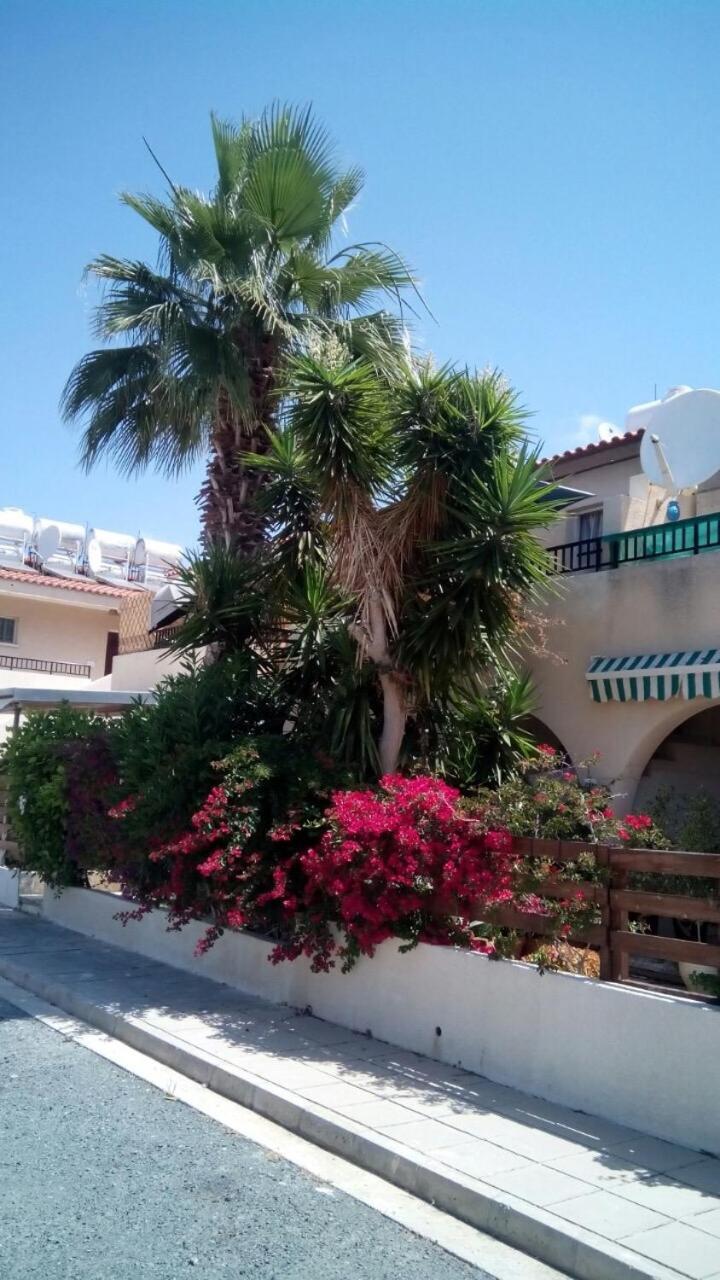 Cy King Village Apartment