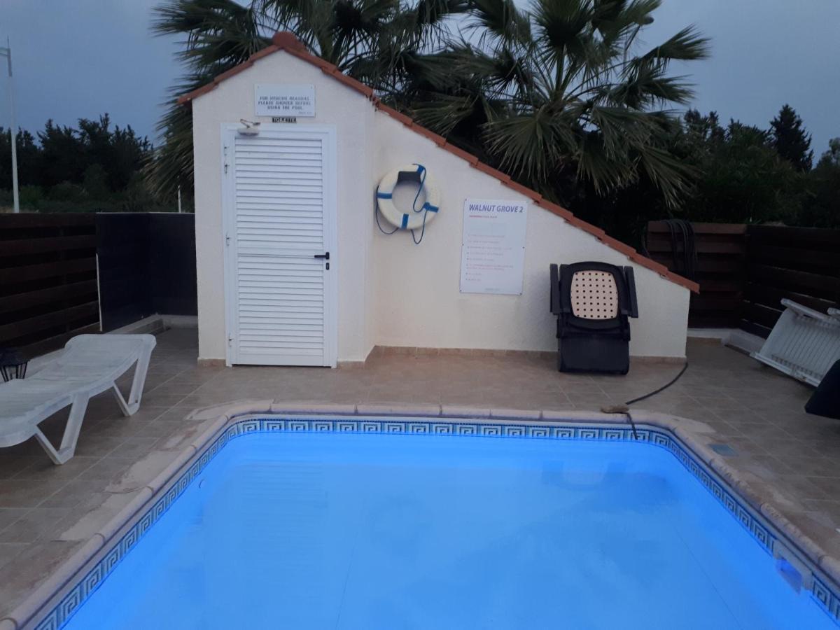 Apartment Blue Flamingo Holiday