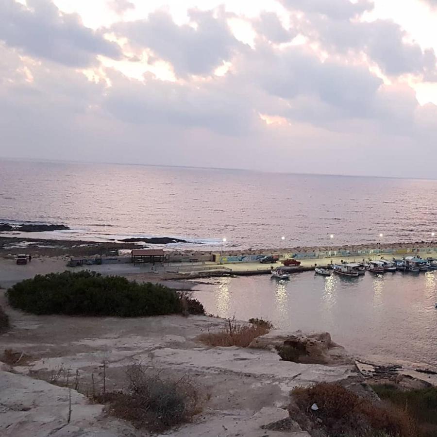 Nefeli Paphos