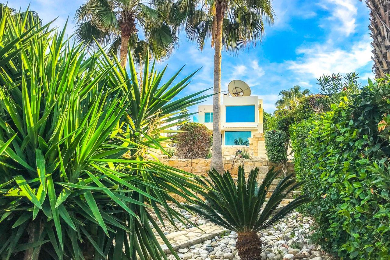Oasis